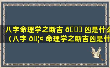 八字命理学之断吉 🍁 凶是什么（八字 🦢 命理学之断吉凶是什么意思）